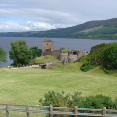 DSC00800