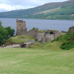 DSC00801