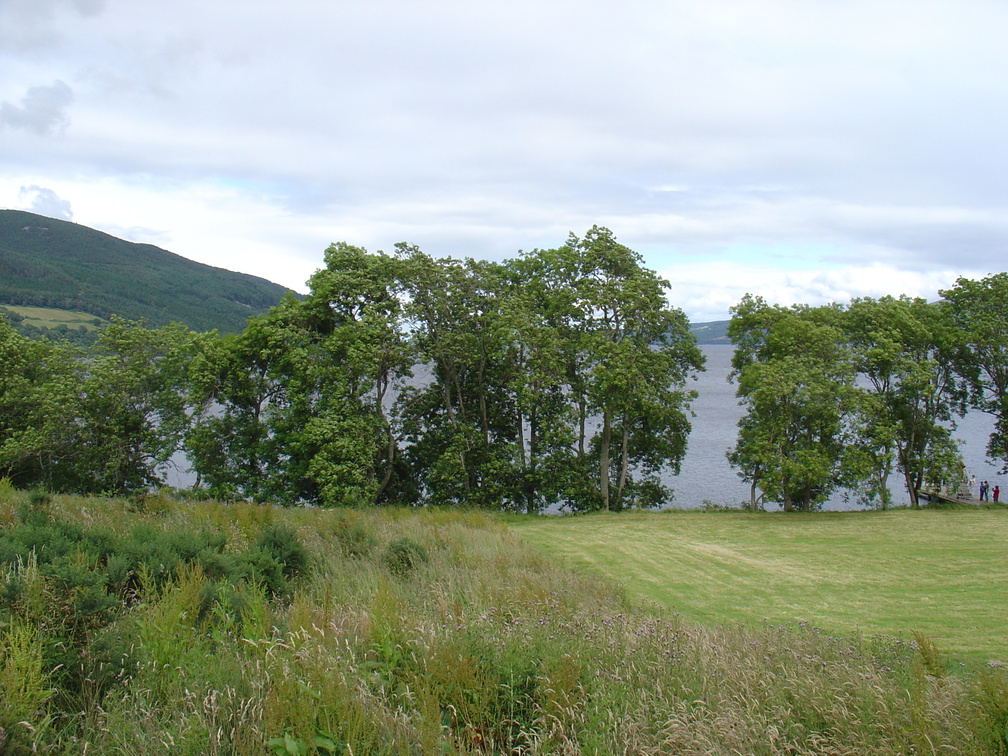 DSC00803
