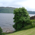 DSC00809