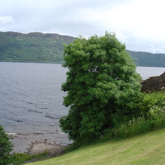 DSC00809