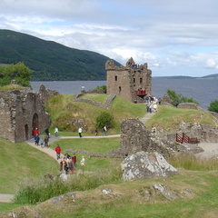 DSC00810