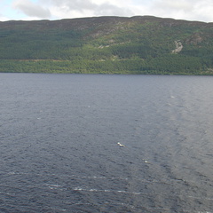 DSC00811