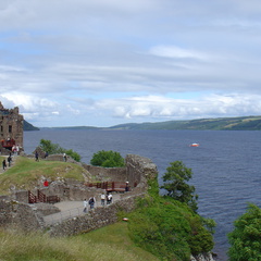 DSC00812
