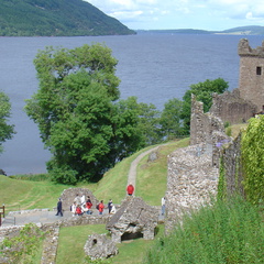DSC00813