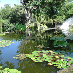 DSC01973