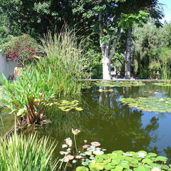 DSC01974