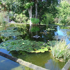 DSC01975
