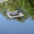 DSC01976