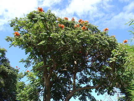 DSC01977
