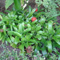DSC01979