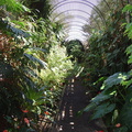 DSC01991