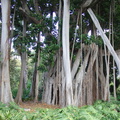 DSC02004