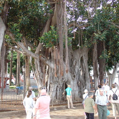 DSC02095