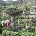 DSC02100