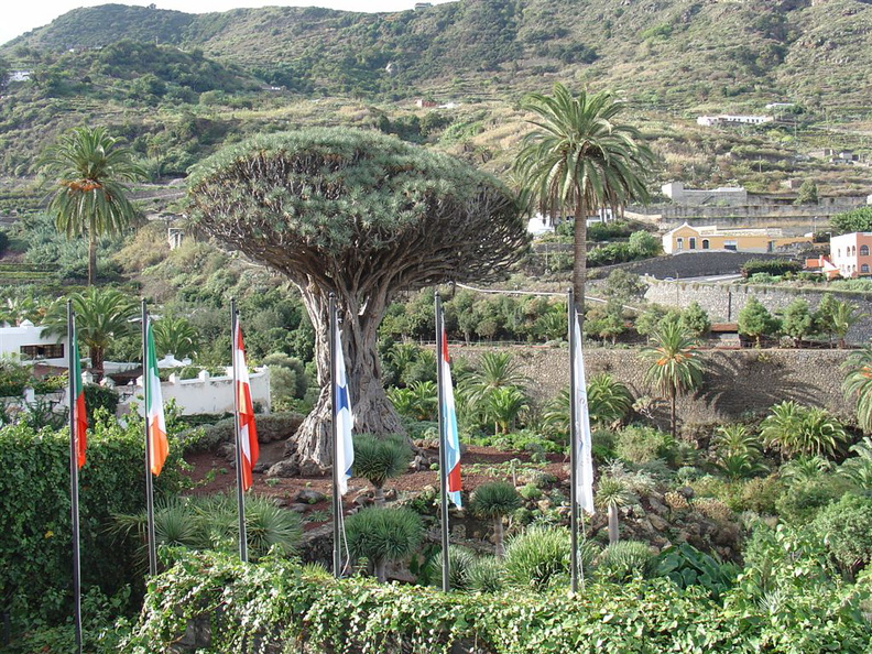 DSC02100