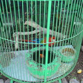 DSC02102