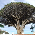 DSC02104