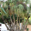 DSC02109