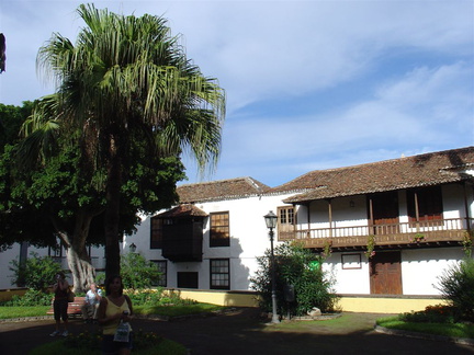 DSC02111