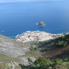 DSC02113