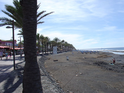 DSC02133