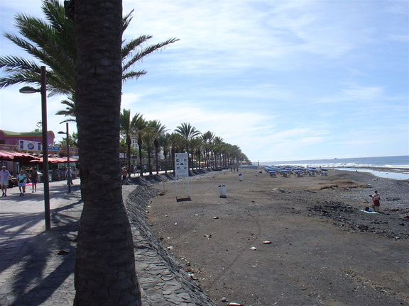 DSC02133