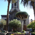 DSC02015