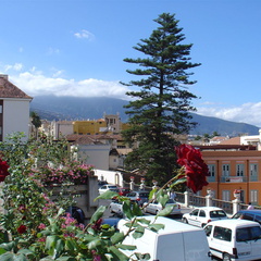 DSC02018