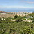 DSC02024