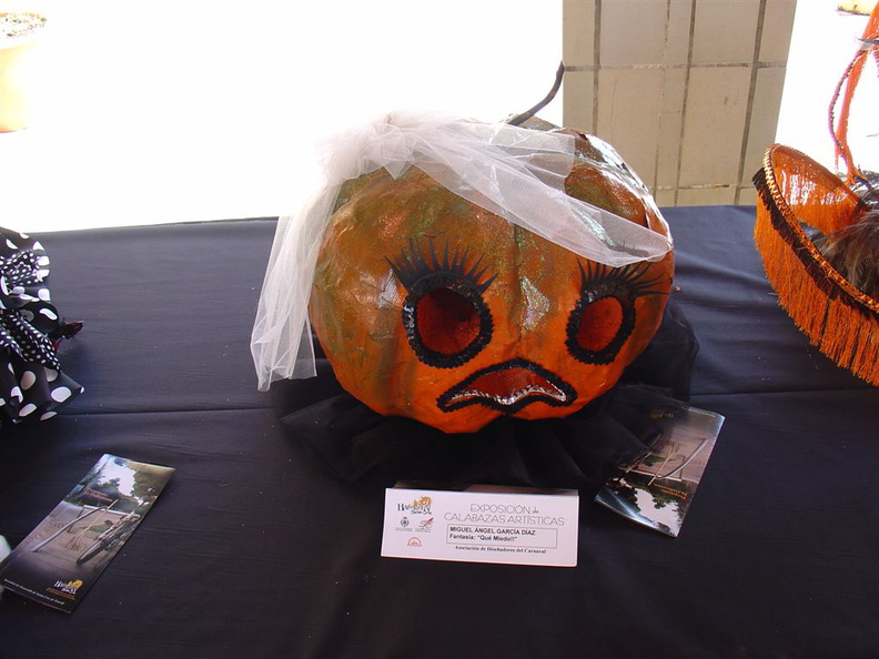 DSC02077
