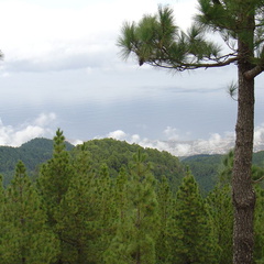 DSC02157