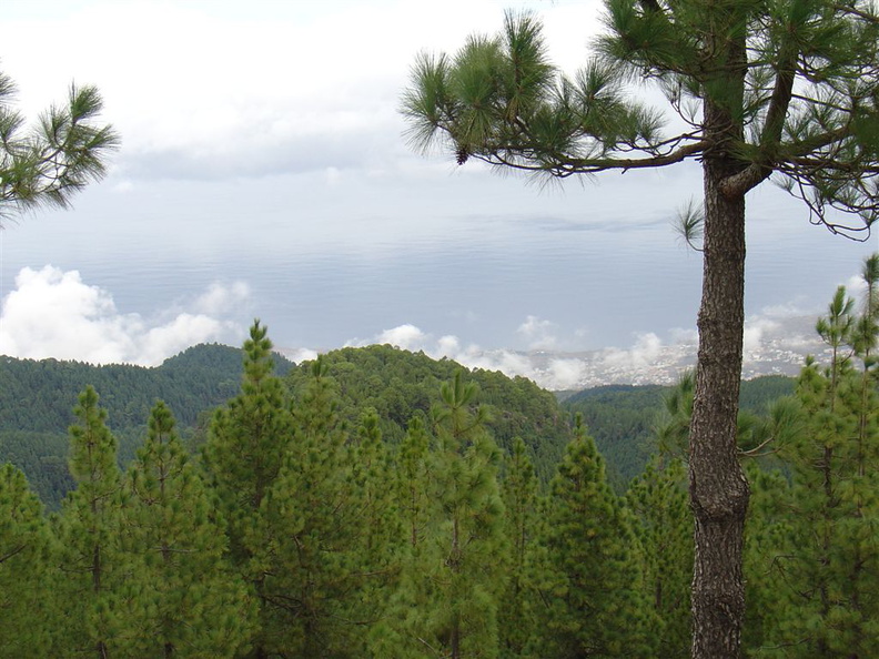 DSC02157.JPG