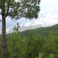 DSC02158