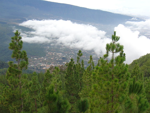 DSC02159