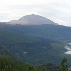 DSC02161