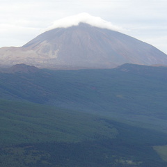 DSC02162