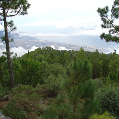 DSC02163