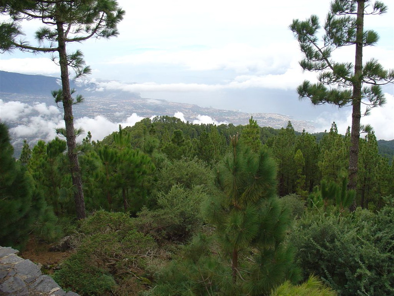 DSC02163.JPG