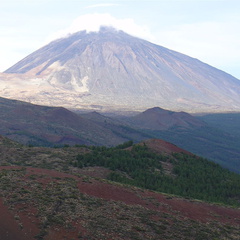 DSC02165