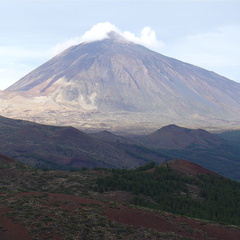 DSC02166