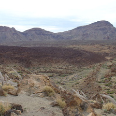 DSC02169