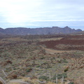 DSC02172