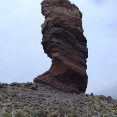DSC02178