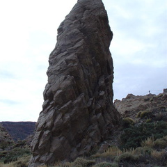 DSC02180
