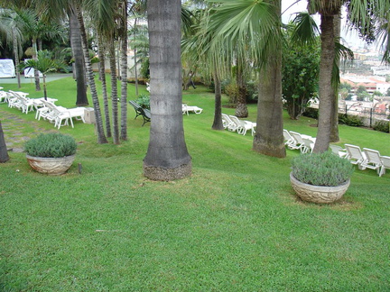 DSC02233