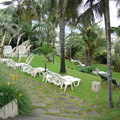 DSC02234