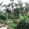 DSC02235