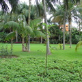 DSC02236
