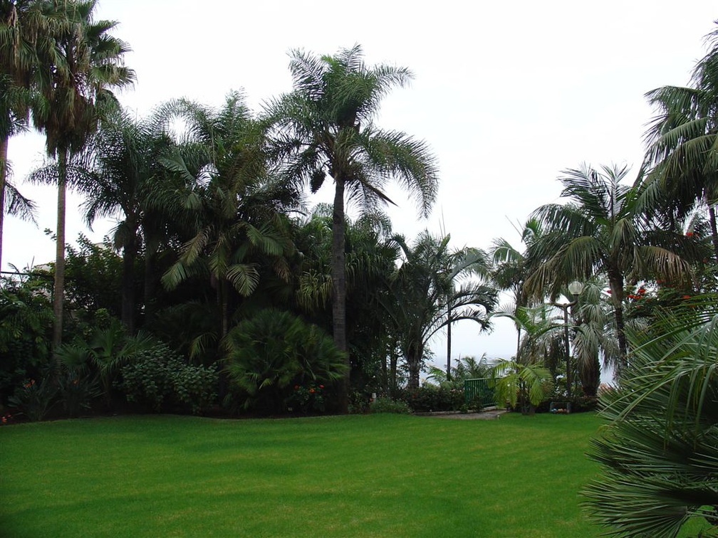 DSC02240